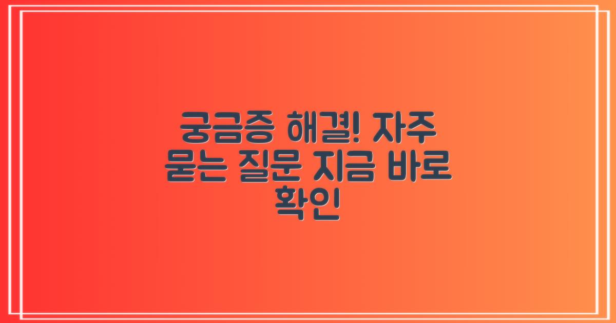 자주 묻는 질문