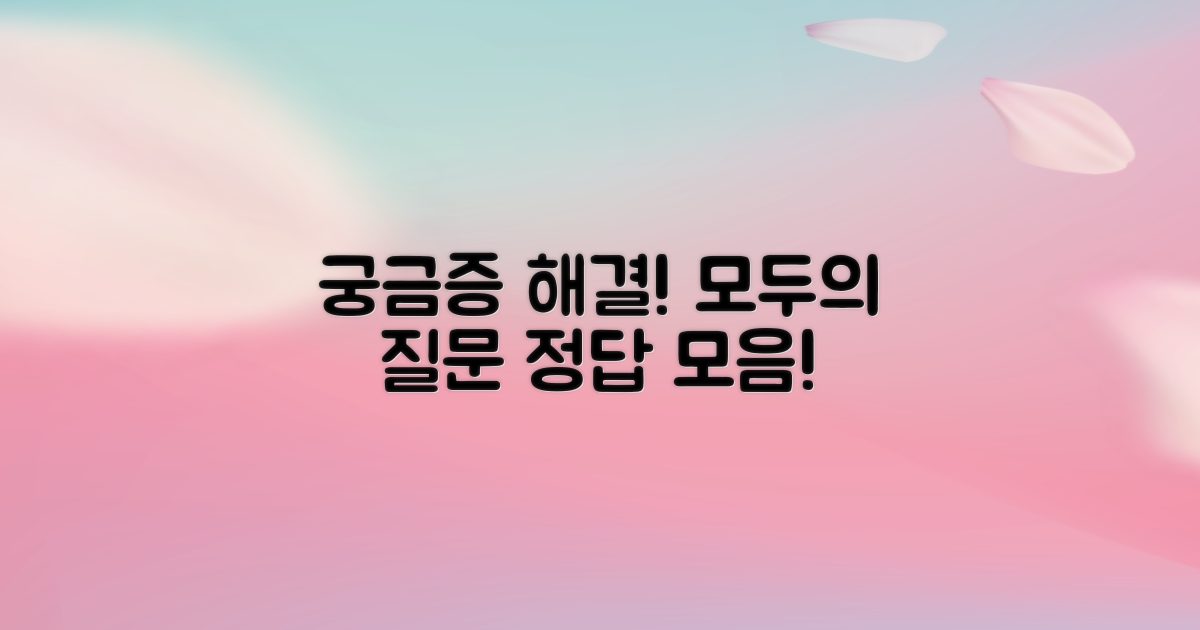 자주 묻는 질문
