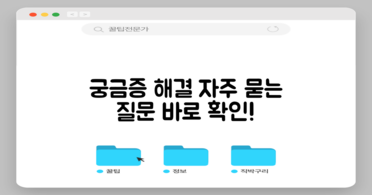 자주 묻는 질문