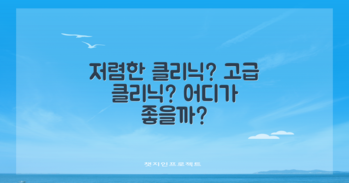 저렴한 곳 vs 고급 클리닉