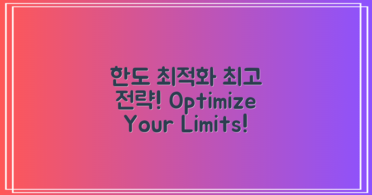 한도 최적화 전략