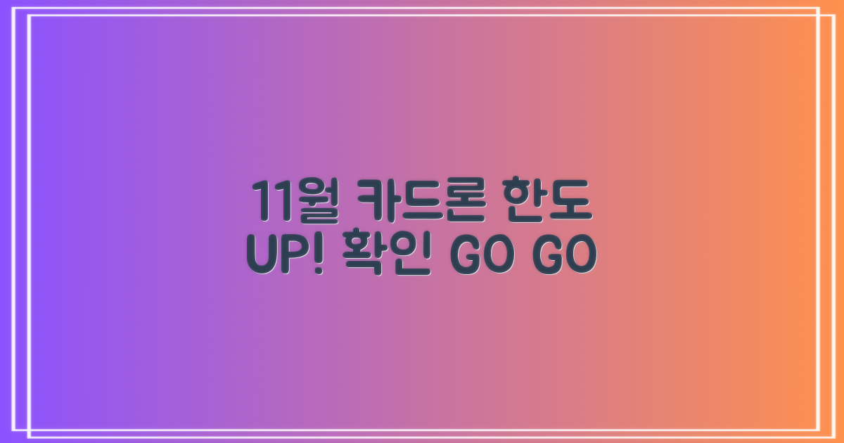 23년 11월, 당신의 카드론 한도는?