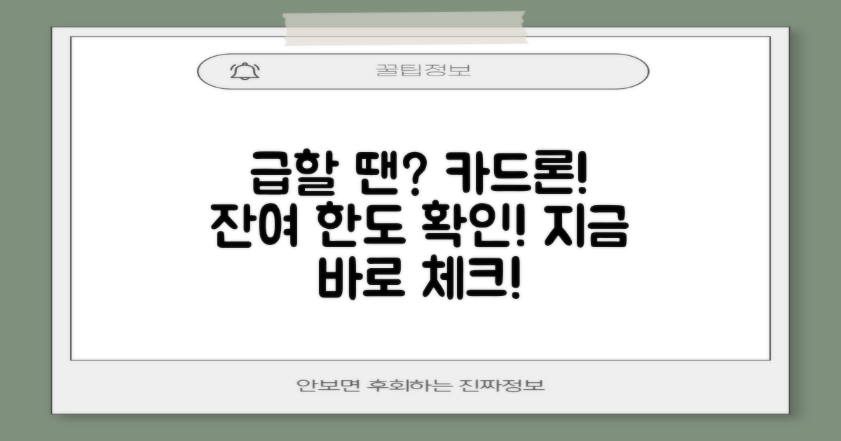 급할 때 필요한 카드론, 잔여 한도 체크