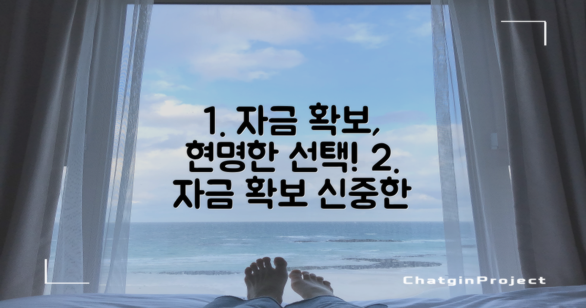 자금 확보, 신중한 선택
