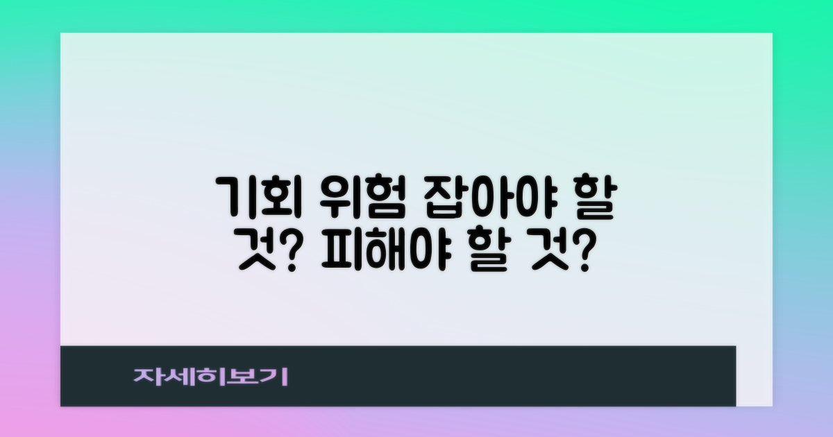 기회와 위험 요소