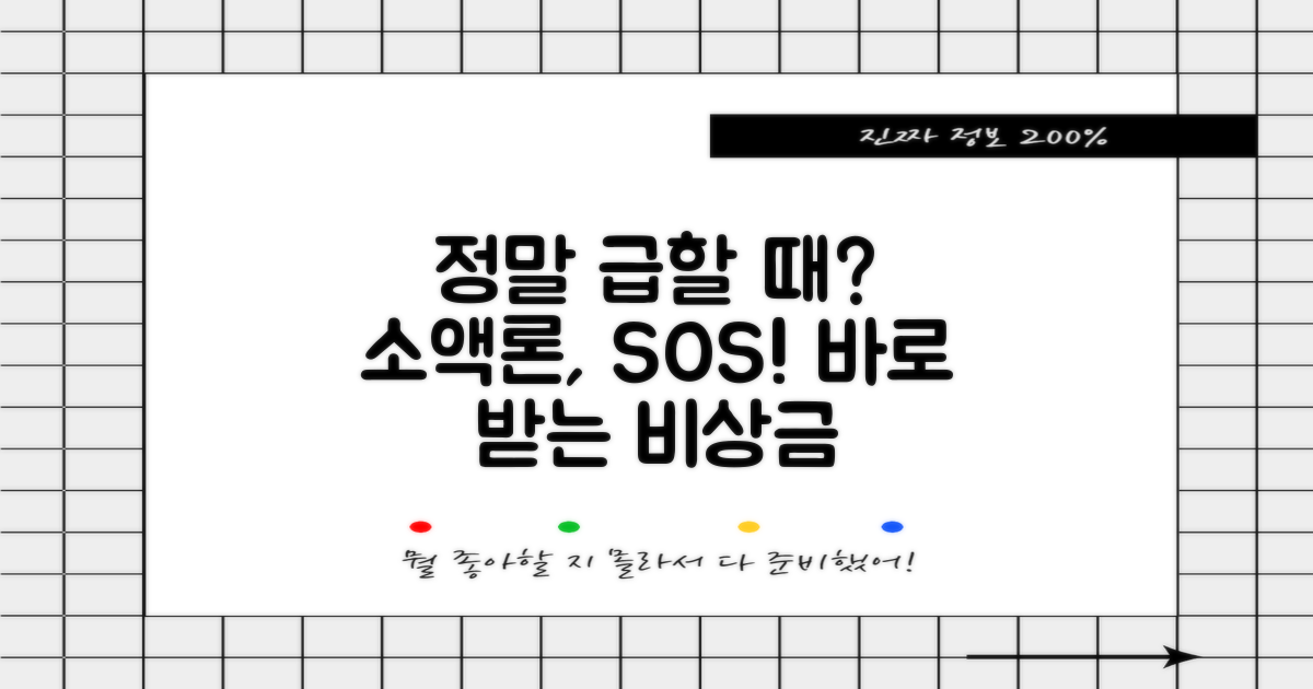 소액론, 정말 급할 때?